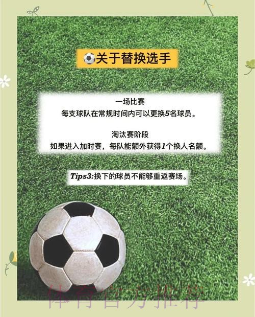 世界杯比分稳定入口地址解析与指南